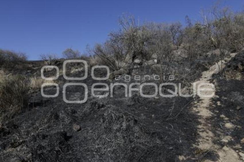 INCENDIO . CERRO ZAPOTECAS 