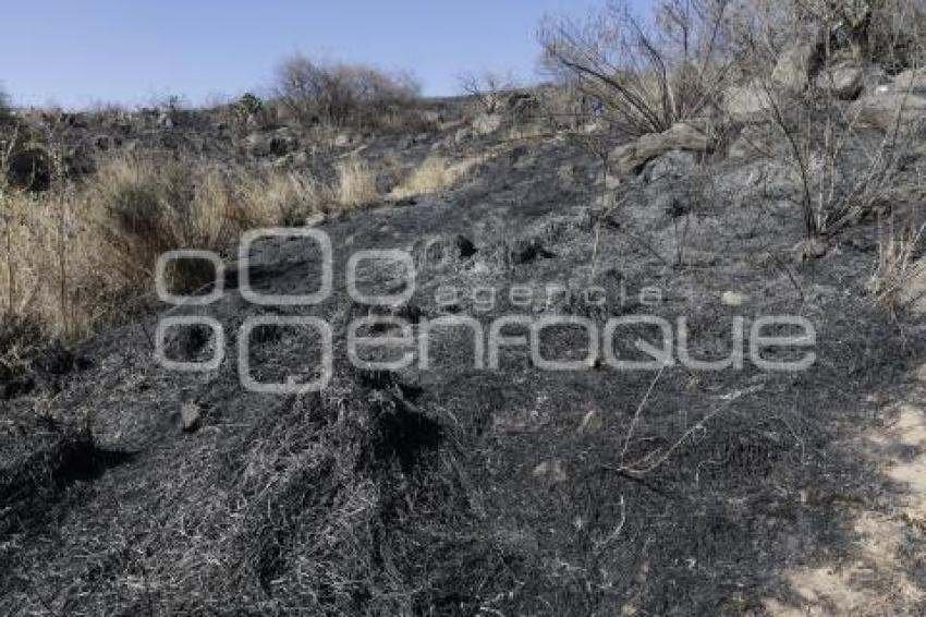 INCENDIO . CERRO ZAPOTECAS 