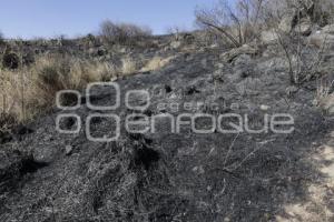 INCENDIO . CERRO ZAPOTECAS 