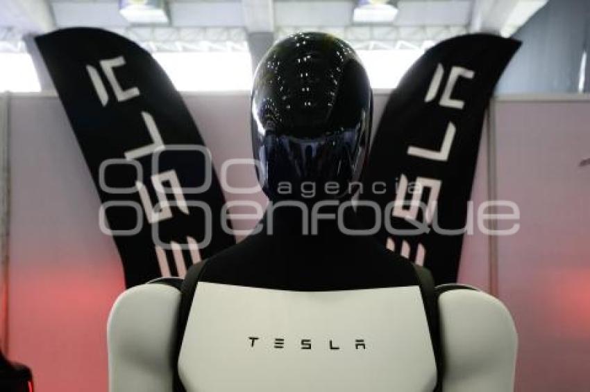 E-EXPERIENCE . YANKUILOTL