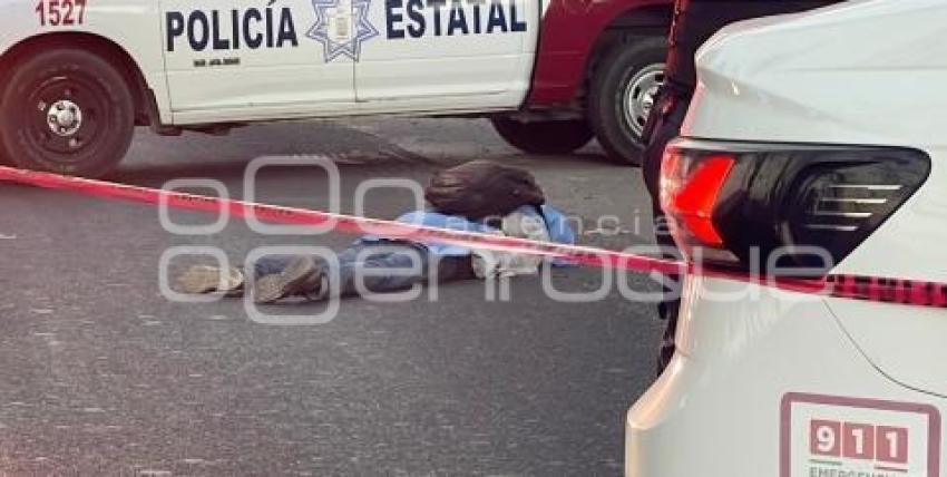 NOTA ROJA . ATROPELLADO AUTOPISTA