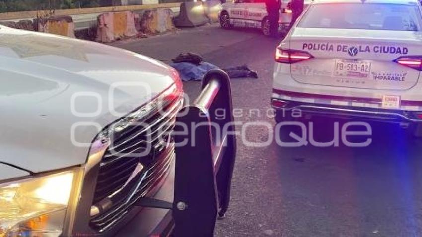 NOTA ROJA . ATROPELLADO AUTOPISTA