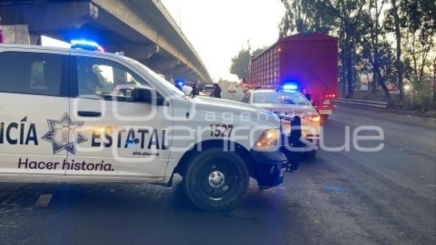 NOTA ROJA . ATROPELLADO AUTOPISTA