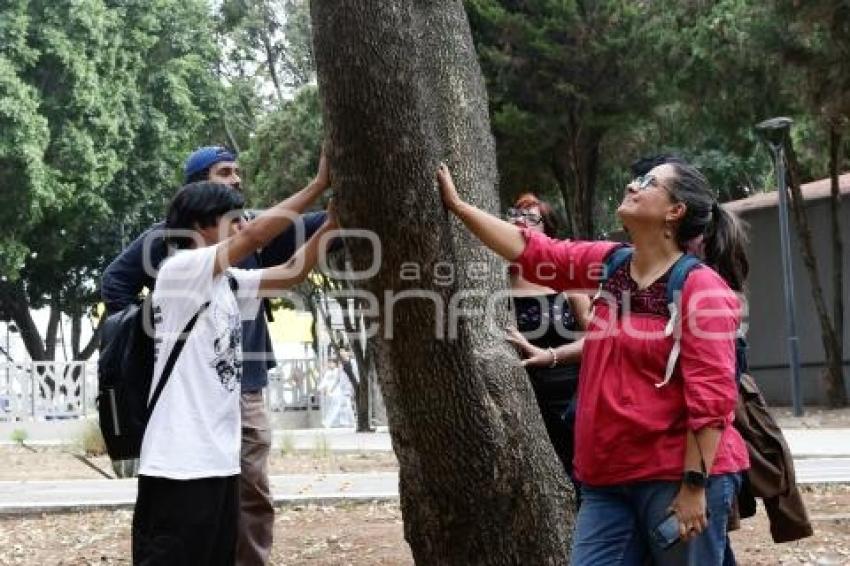 PARQUE JUÁREZ . AMBIENTALISTAS