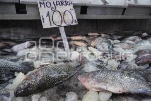 PESCADOS Y MARISCOS