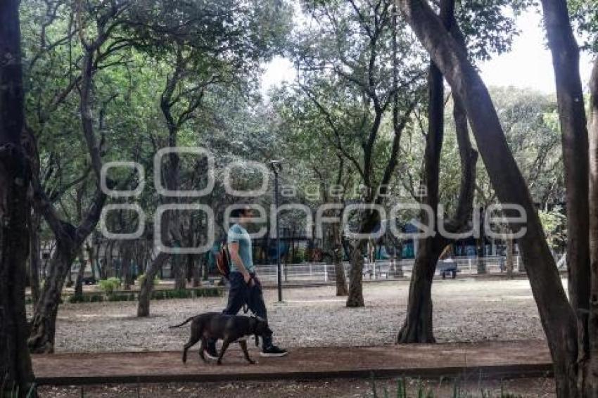PARQUE JUÁREZ . AMBIENTALISTAS