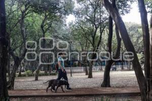 PARQUE JUÁREZ . AMBIENTALISTAS