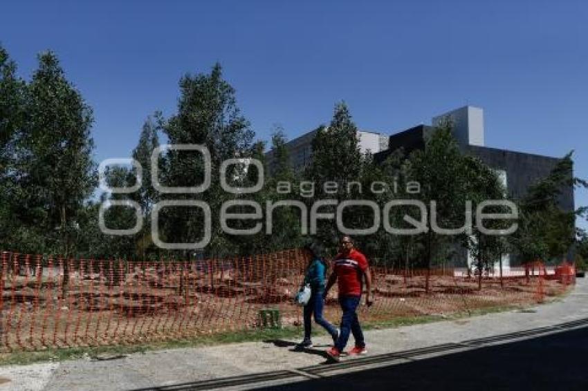 CIS . REFORESTACIÓN