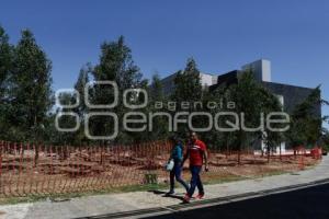 CIS . REFORESTACIÓN