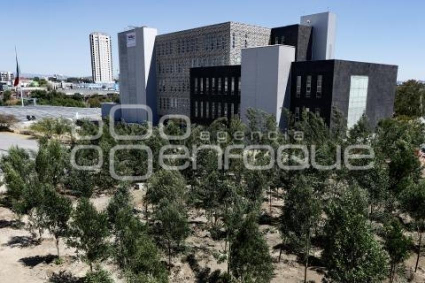 CIS . REFORESTACIÓN