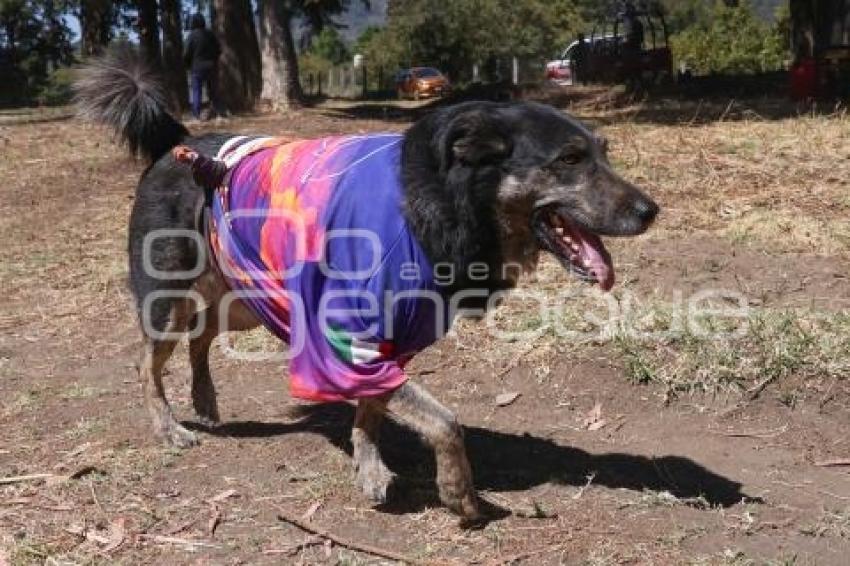 TOCHIMILCO . LUCIÉRNAGA TRAIL