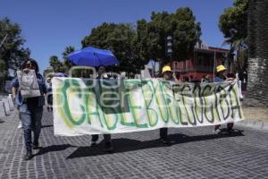 MANIFESTACIÓN . AMBIENTALISTAS