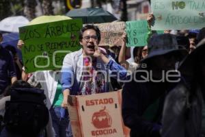MANIFESTACIÓN . AMBIENTALISTAS