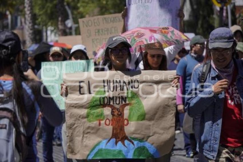 MANIFESTACIÓN . AMBIENTALISTAS
