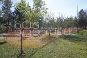 PARQUE ECOLÓGICO . REFORESTACIÓN