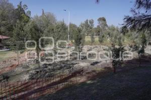 PARQUE ECOLÓGICO . REFORESTACIÓN
