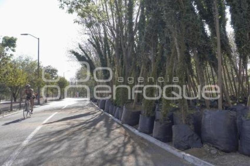 PARQUE ECOLÓGICO . REFORESTACIÓN
