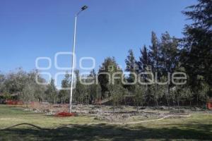 PARQUE ECOLÓGICO . REFORESTACIÓN