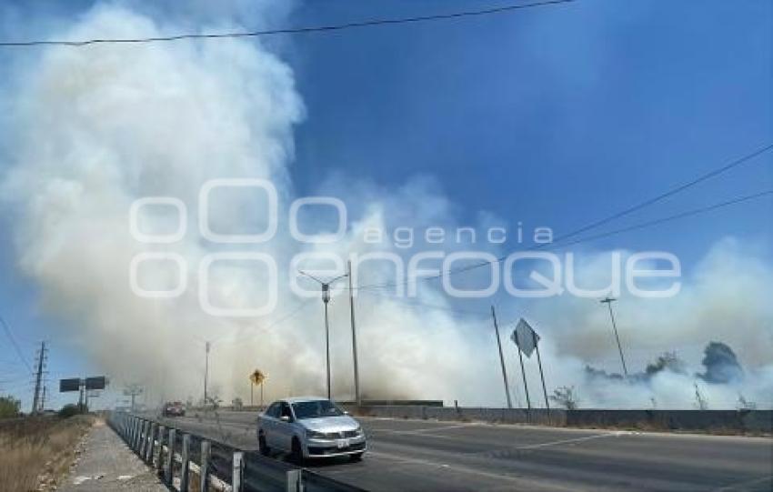 INCENDIO . PERIFÉRICO ECOLÓGICO