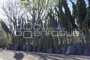 PARQUE ECOLÓGICO . REFORESTACIÓN