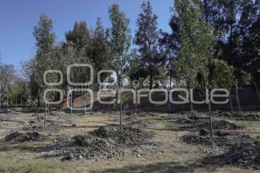 PARQUE ECOLÓGICO . REFORESTACIÓN