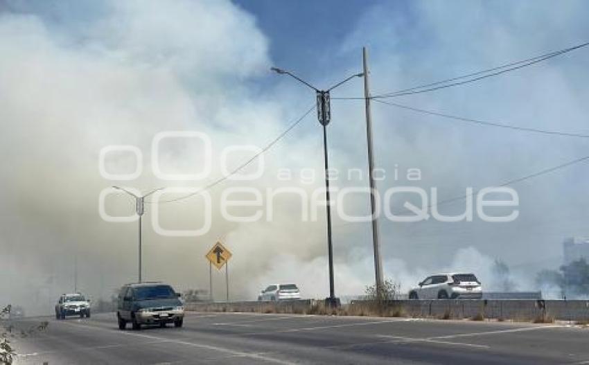 INCENDIO . PERIFÉRICO ECOLÓGICO