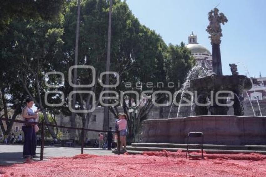 ZÓCALO . SANGRE DE MI SANGRE
