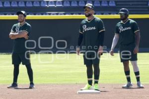 BÉISBOL . ENTRENAMIENTO PERICOS 