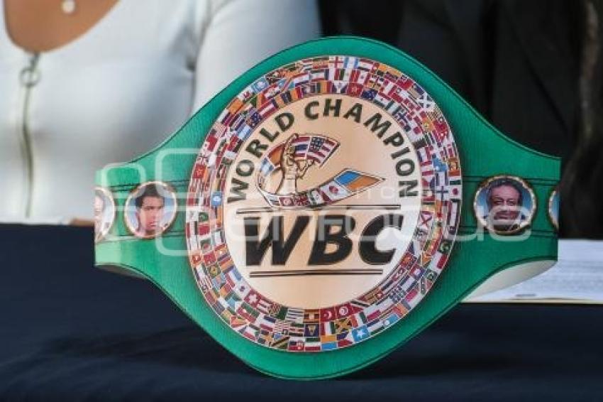 REGIDORES . FUNCIÓN DE BOX