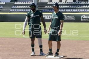BÉISBOL . ENTRENAMIENTO PERICOS 