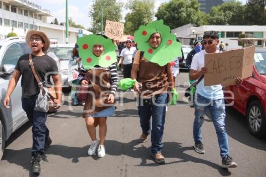 MANIFESTACIÓN . AMBIENTALISTAS
