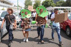 MANIFESTACIÓN . AMBIENTALISTAS