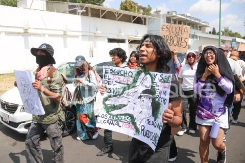 MANIFESTACIÓN . AMBIENTALISTAS