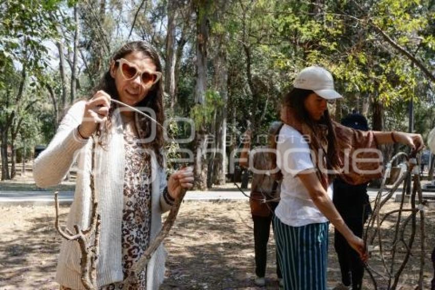 BRIGADA VERDE . PARQUE JUÁREZ