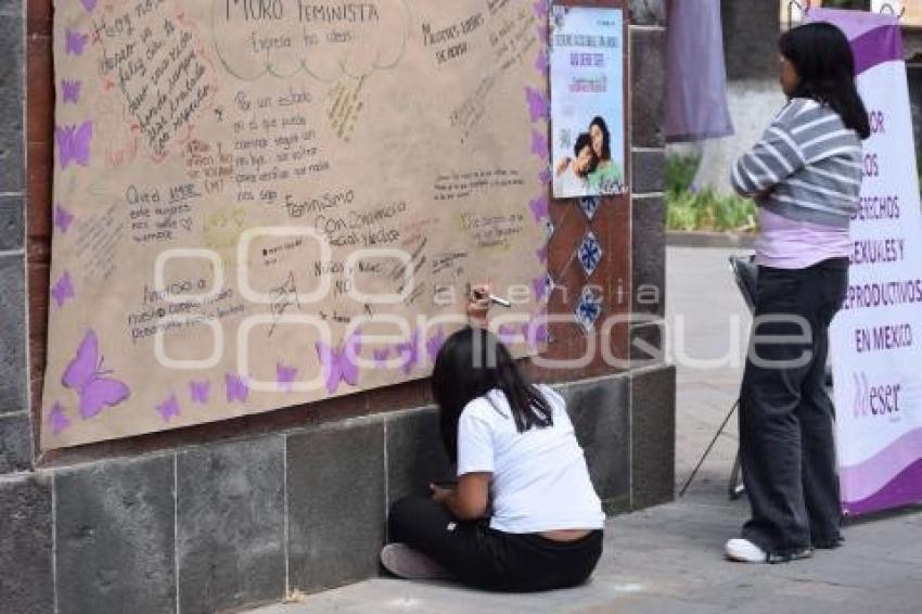 TLAXCALA . COLECTIVOS FEMINISTAS