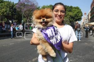 8M . VOZ DE LOS DESAPARECIDOS