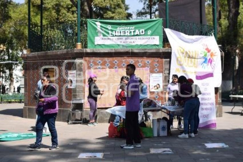 TLAXCALA . COLECTIVOS FEMINISTAS
