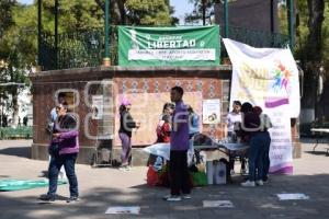 TLAXCALA . COLECTIVOS FEMINISTAS