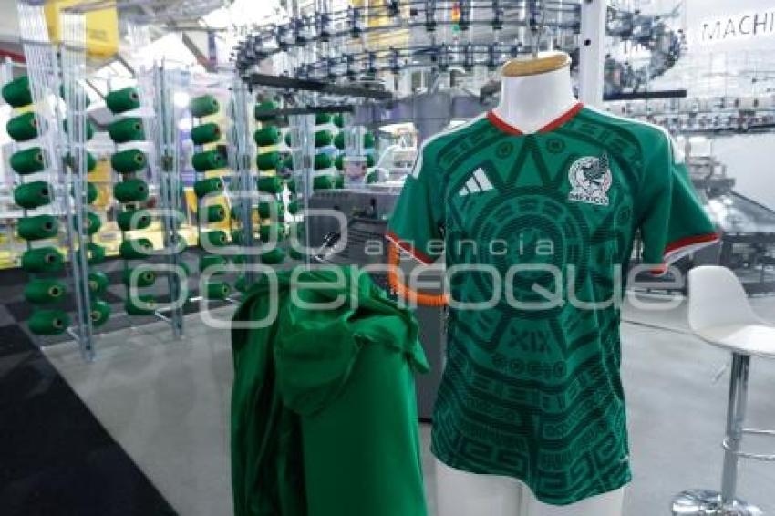 GOBIERNO ESTATAL . EXINTEX