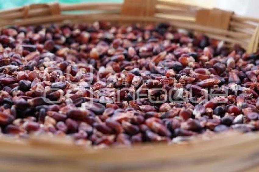 TLAXCALA . MÓDULO PRODUCCIÓN DE BIOINSUMOS