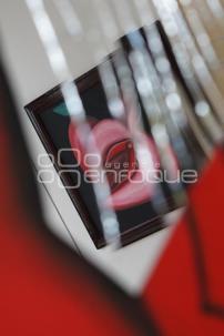 TLAXCALA . EXPOSICIÓN SEMILLA PROHIBIDA