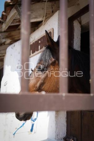 TLAXCALA . HACIENDA SAN NICOLÁS