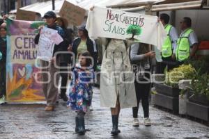 MANIFESTACIÓN . AMBIENTALISTAS