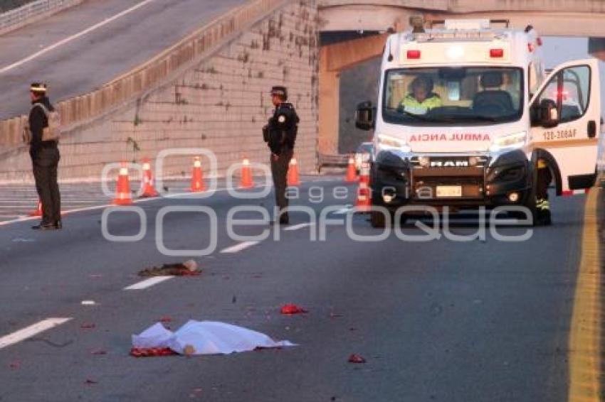 NOTA ROJA . ATROPELLADO