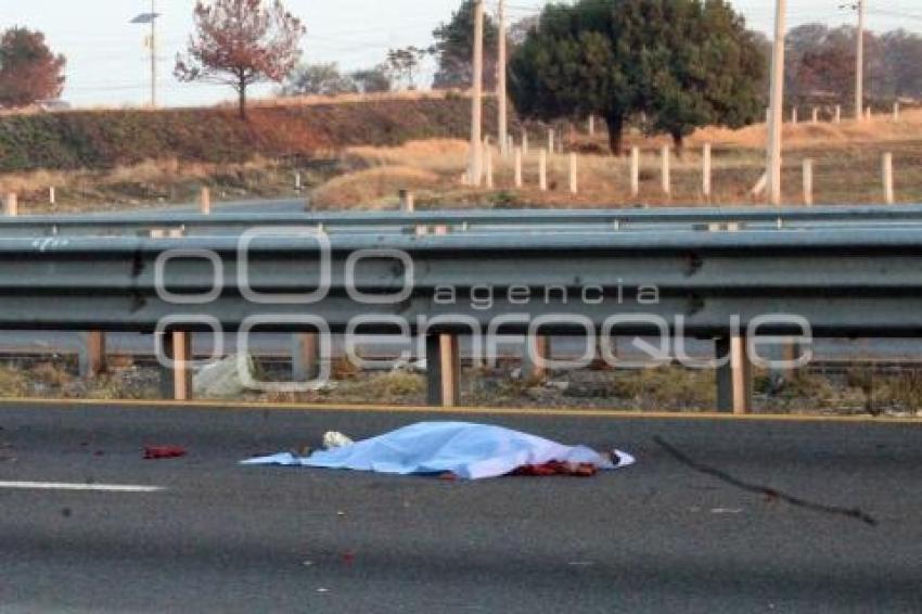 NOTA ROJA . ATROPELLADO