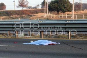 NOTA ROJA . ATROPELLADO