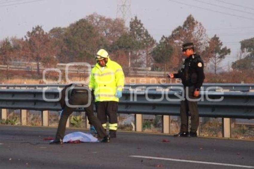 NOTA ROJA . ATROPELLADO