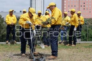 GOBIERNO ESTATAL . BOSQUE URBANO