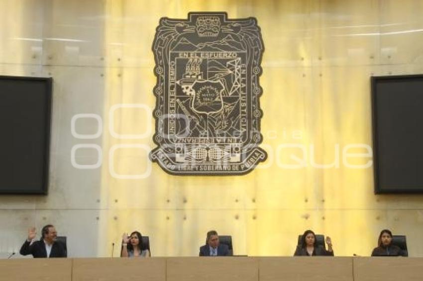 CONGRESO . COMISIÓN PERMANENTE