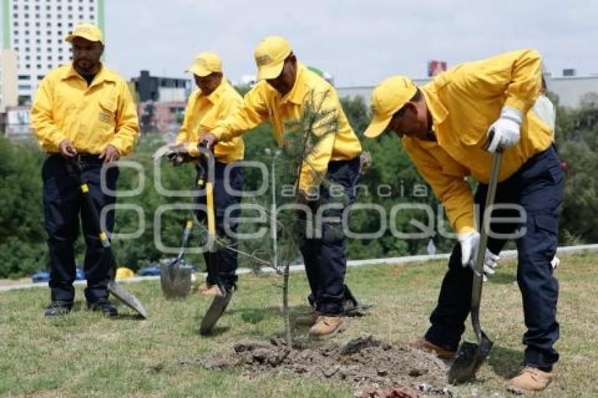 GOBIERNO ESTATAL . BOSQUE URBANO